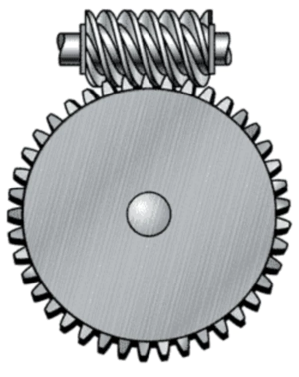 Worm Gear and Shaft